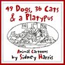 49 Dogs 36 Cats  A Platypus Animal Cartoons