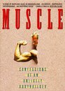 Muscle  Confessions of an Unlikely Bodybuilder