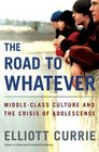 The Road to Whatever  MiddleClass Culture and the Crisis of Adolescence