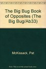 The Big Bug Book of Opposites