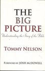The Big Picture Understanding the Story of the Bible