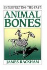 Animal Bones