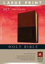 Personal Size Bible NLT, Large Print TuTone (Personal Size Lp: Nltse)