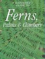 Ferns Palms and Climbers