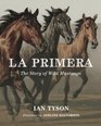 La Primera The Story of Wild Mustangs