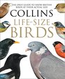 Collins LifeSize Birds The Only Guide to Show British Birds at their Actual Size