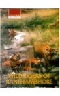 Wild Tigers of Ranthambhore
