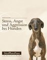 Stress Angst und Aggression bei Hunden