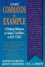 Unix Commands by Example A Desktop Reference for Unixware Solairs and Sco Unixware Solaris and Sco Unix