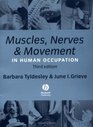 Muscles Nerves and Movement In Human Occupation