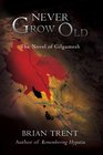 Never Grow Old: The Novel of Gilgamesh