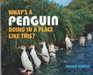 What'S/Penguin Place Like This