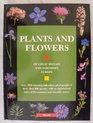 Plants and Flowers of Great Britain and Europe