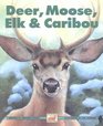 Deer Moose Elk and Caribou