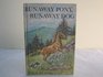 Runaway Pony Runaway Dog
