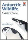 Antarctic Wildlife A Visitor's Guide