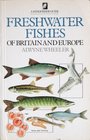 Freshwater Fishes of Britain and Europe