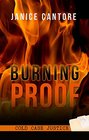 Burning Proof (Cold Case Justice)