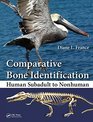 Comparative Bone Identification Human Subadult to Nonhuman