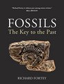 Fossils The Key to the Past