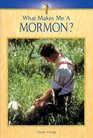 What Makes Me A   Mormon