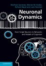 Neuronal Dynamics From Single Neurons to Networks and Models of Cognition