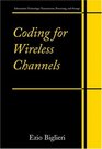 Coding for Wireless Channels