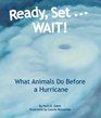 Ready Set    WAIT What Animals Do Before a Hurricane