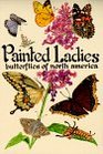 Painted Ladies Butterflies of North America