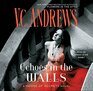 Echoes in the Walls (House of Secrets Series, 2)