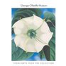 Georgia O'Keeffe Museum Highlights of the Collection