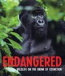 Endangered Wildlife on the Brink of Extinction