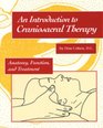 An Introduction to Craniosacral Therapy: Anatomy, Function, and Treatment
