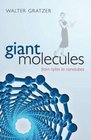 Giant Molecules From Nylon to Nanotubes