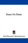 Essays On Dante