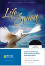 NIV Life in the Spirit Study Bible