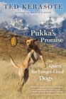 Pukka's Promise The Quest for LongerLived Dogs