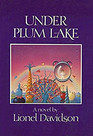Under Plum Lake Line NW 263