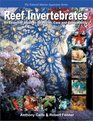 Reef Invertebrates An Essential Guide to Selection Care and Compatibilty