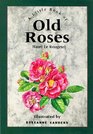 The Little Book of Old Roses