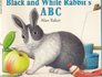 Black and White Rabbit's ABC