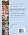 Hand Spinning: Essential Technical and Creative Skills