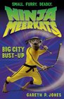 Ninja Meerkats  Big City BustUp