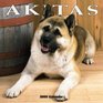 Akitas 2005 Wall Calendar