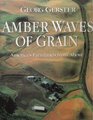Amber Waves of Grain America's Farmland from Above