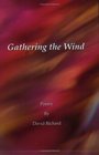 Gathering the Wind