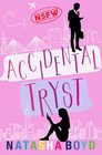 Accidental Tryst A Romantic Comedy