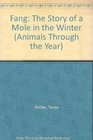 Fang The Story of a Mole in the Winter