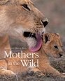 Mothers in the Wild