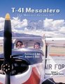 T41 Mescalero The Military Cessna 172